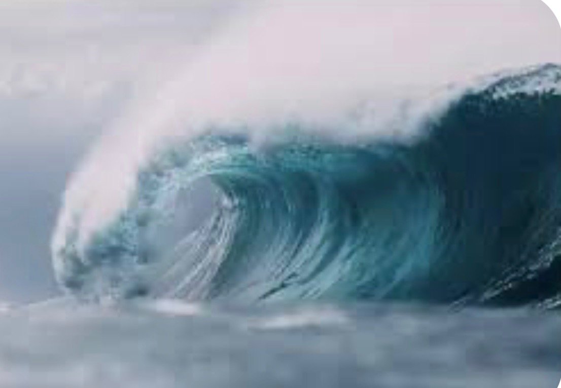 მშვიდი ტალღა (სრულად +18 )