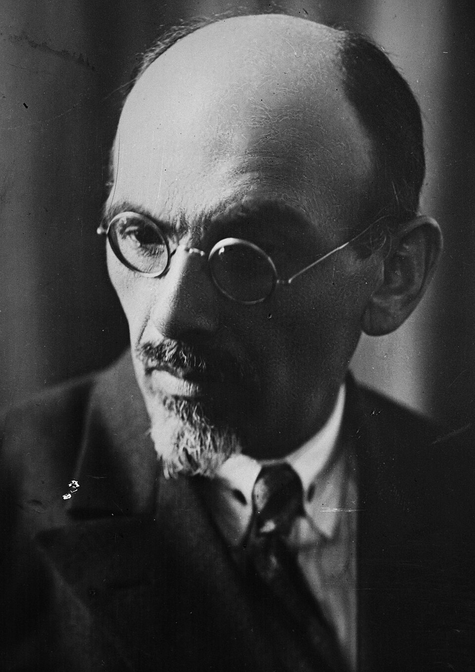 მიხეილ ჯავახიშვილი